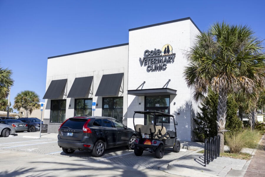 Cole Vet Commercial Painting Project