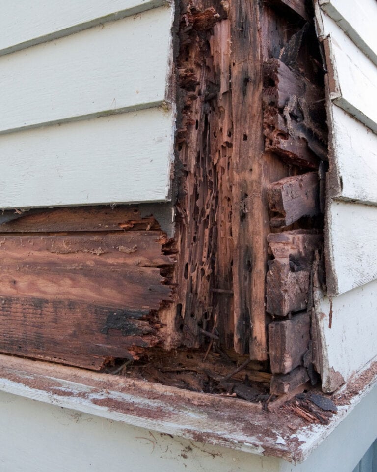 rotting wood on house