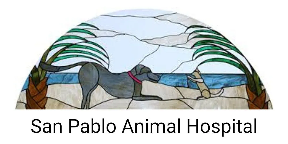 San-Pablo-Animal-Hospital